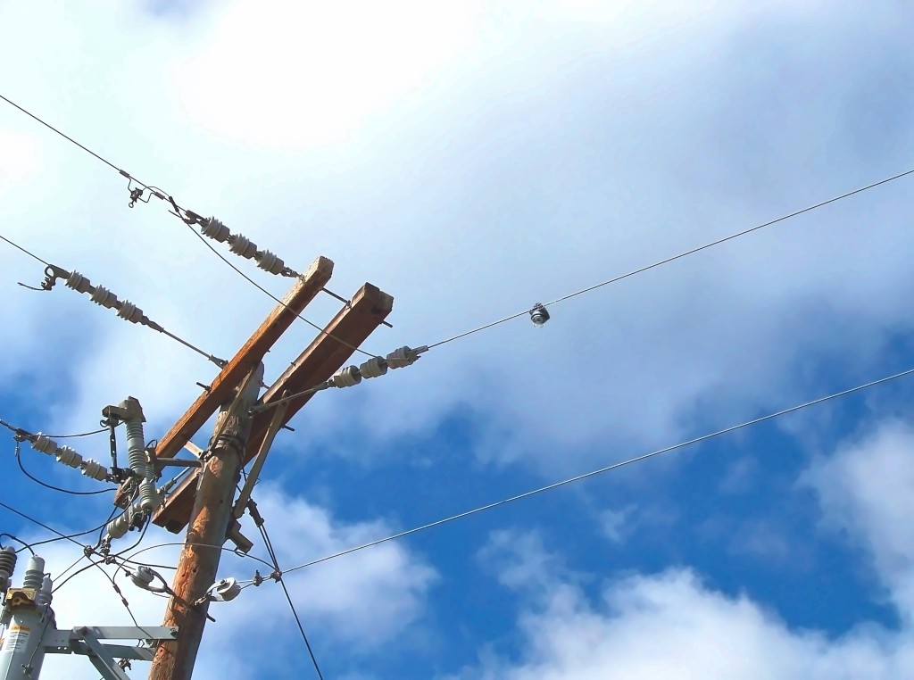 Patrolman fault indicator on an overhead distribution pole